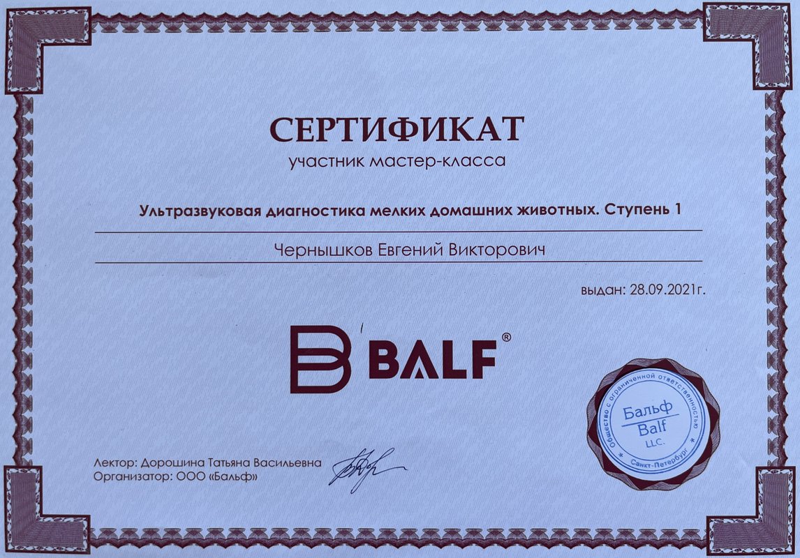 Документ или сертификат