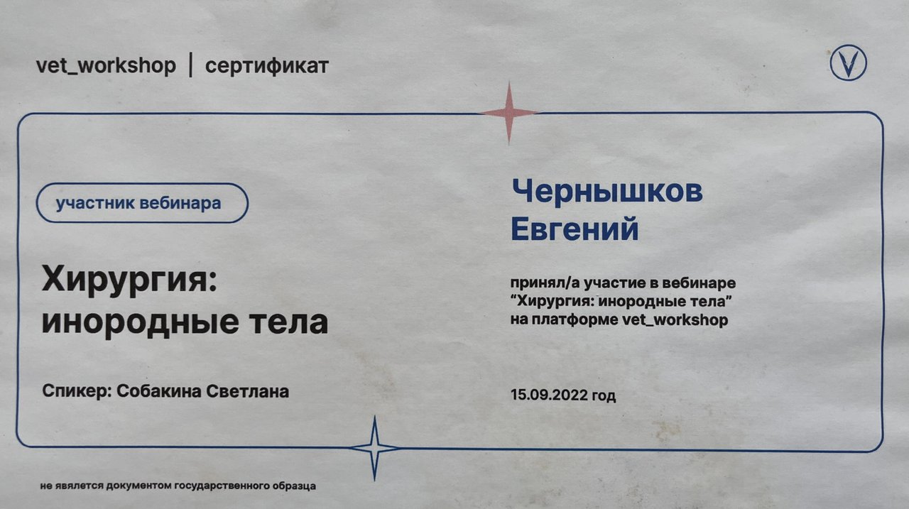 Документ или сертификат
