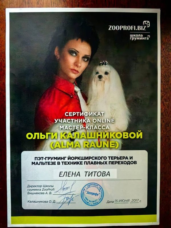 Документ или сертификат