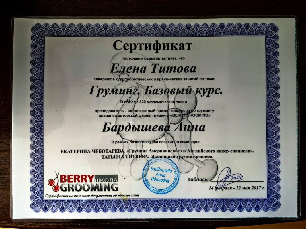 Документ или сертификат