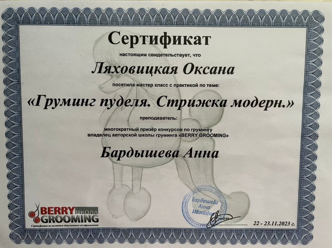 Документ или сертификат