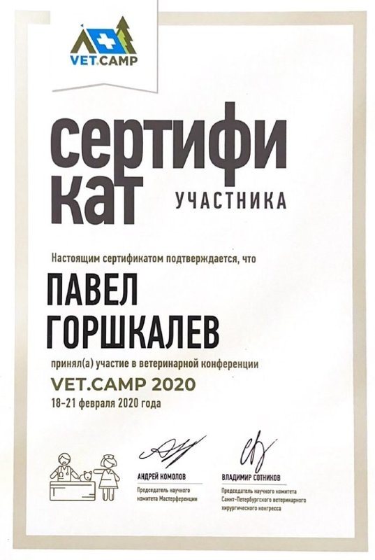 Документ или сертификат