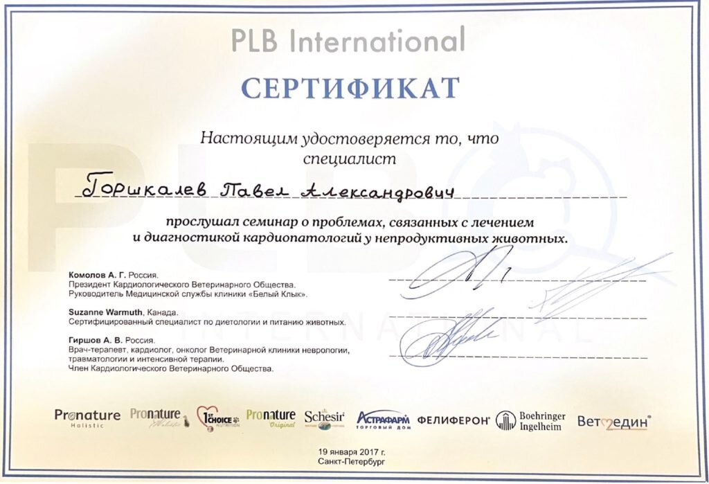 Документ или сертификат