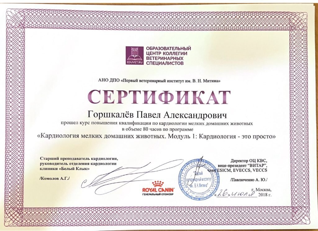 Документ или сертификат