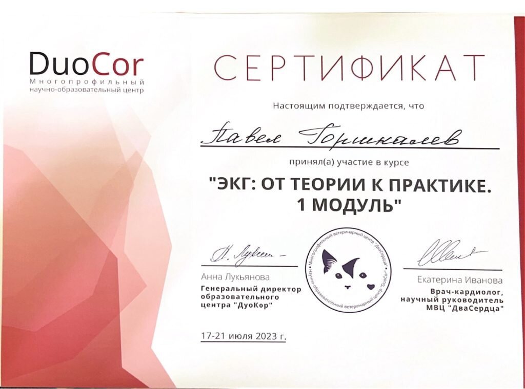 Документ или сертификат