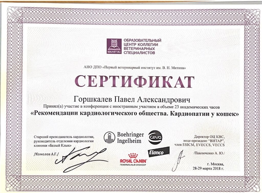 Документ или сертификат