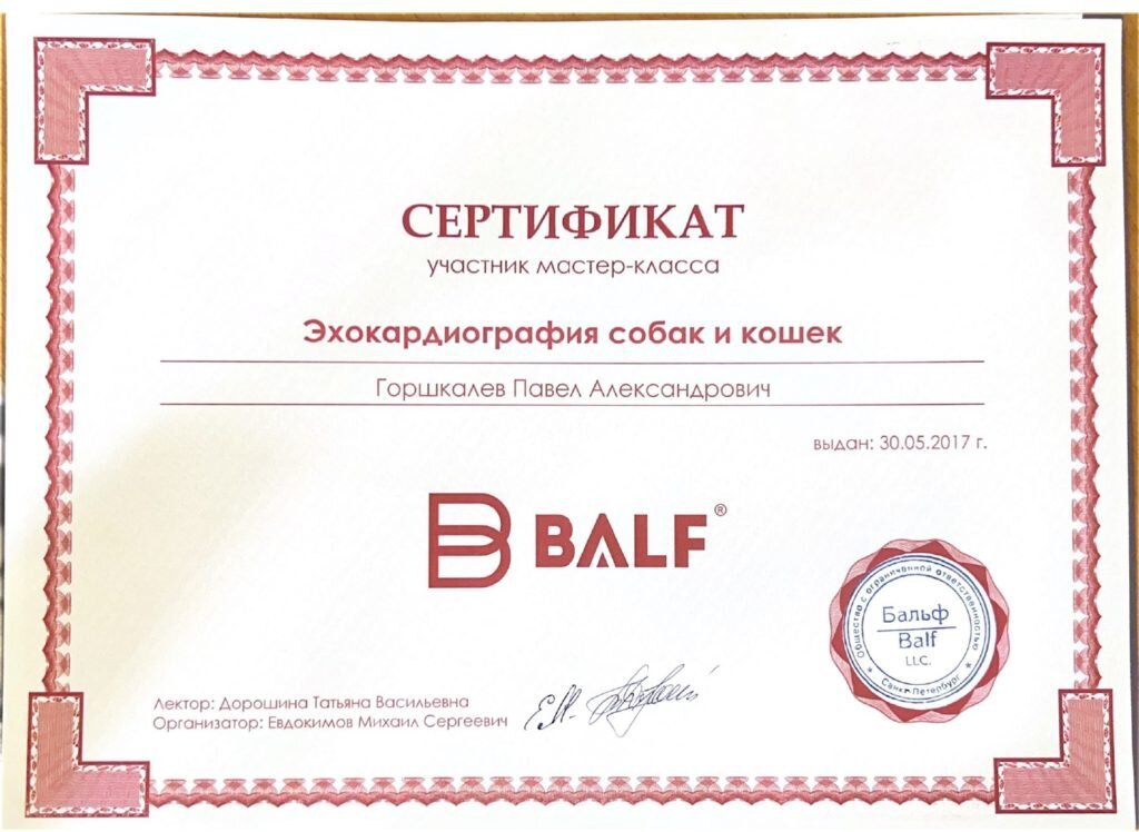 Документ или сертификат