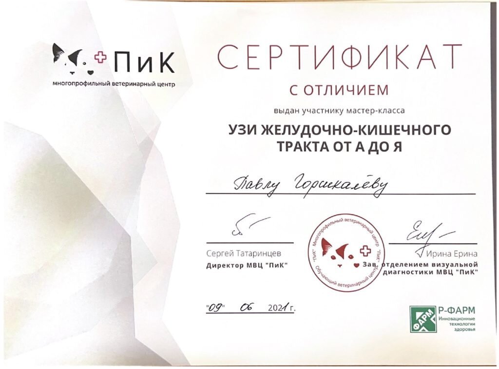Документ или сертификат