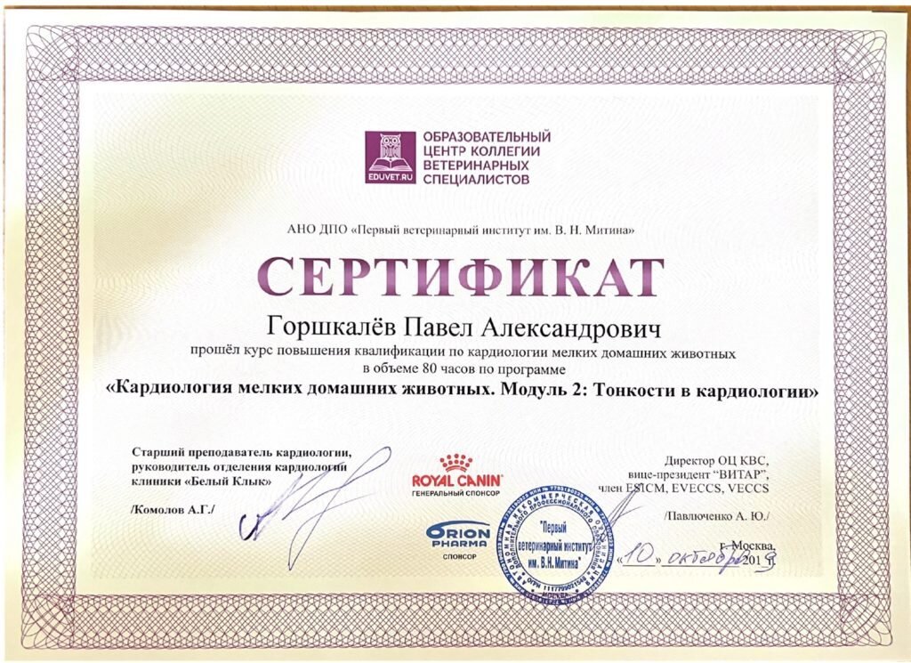 Документ или сертификат