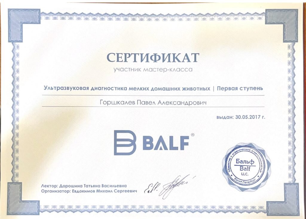 Документ или сертификат