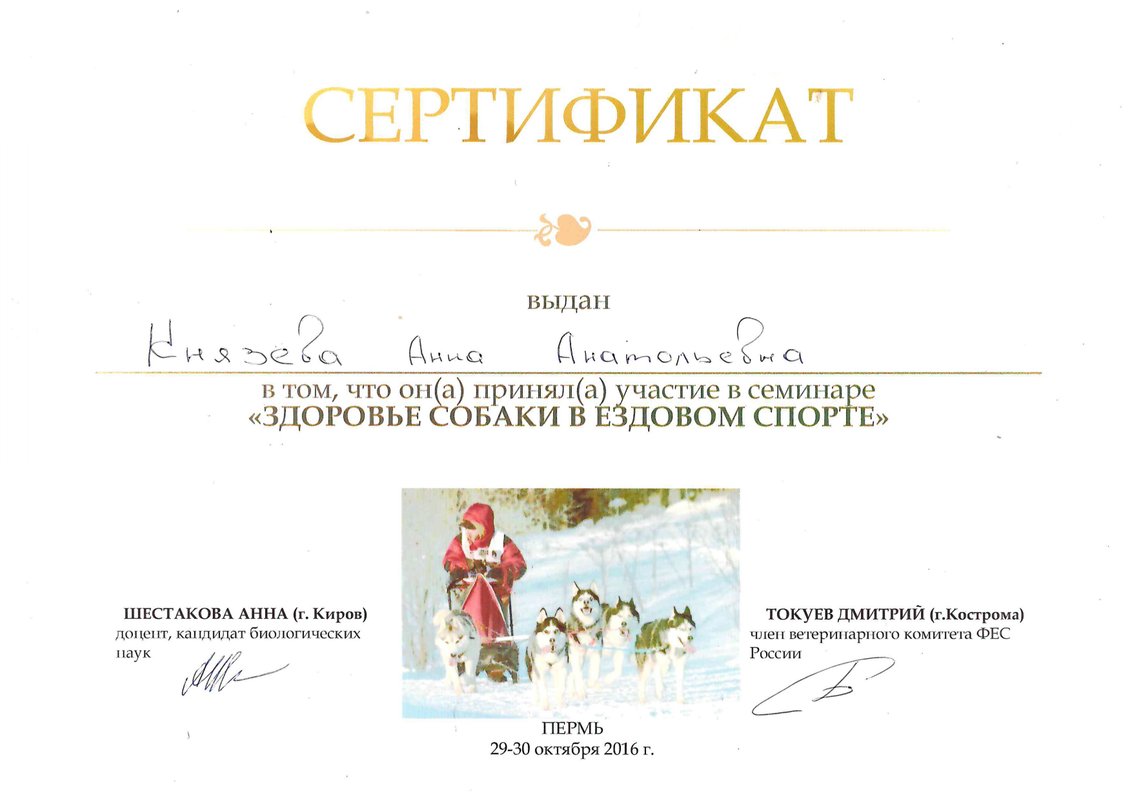 Документ или сертификат