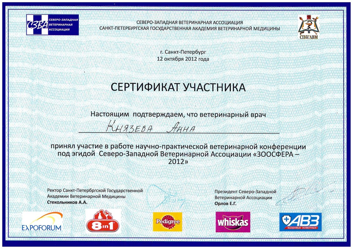 Документ или сертификат