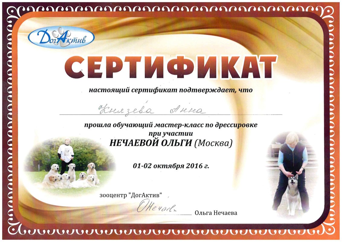 Документ или сертификат