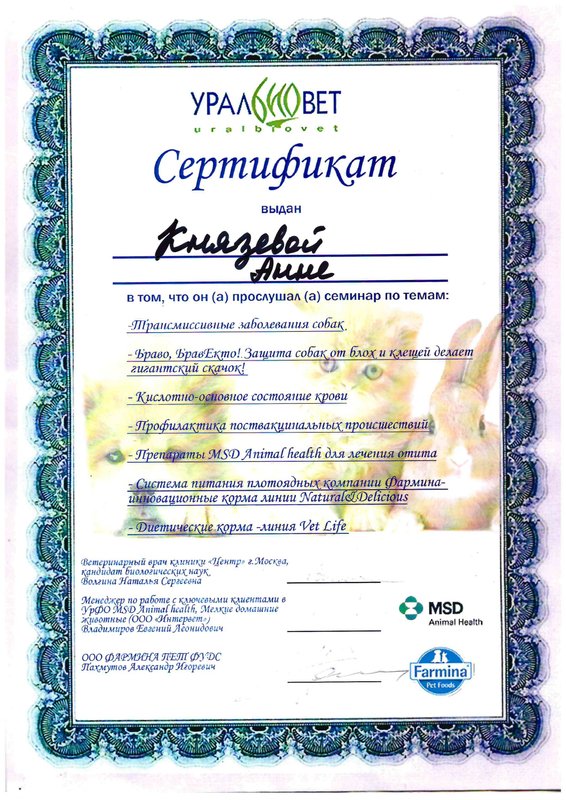 Документ или сертификат