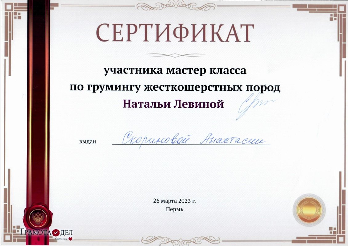 Документ или сертификат