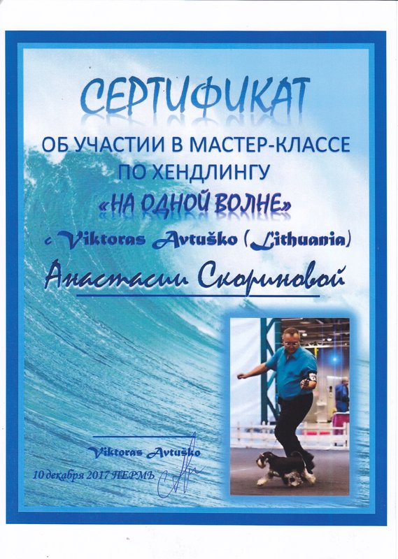 Документ или сертификат