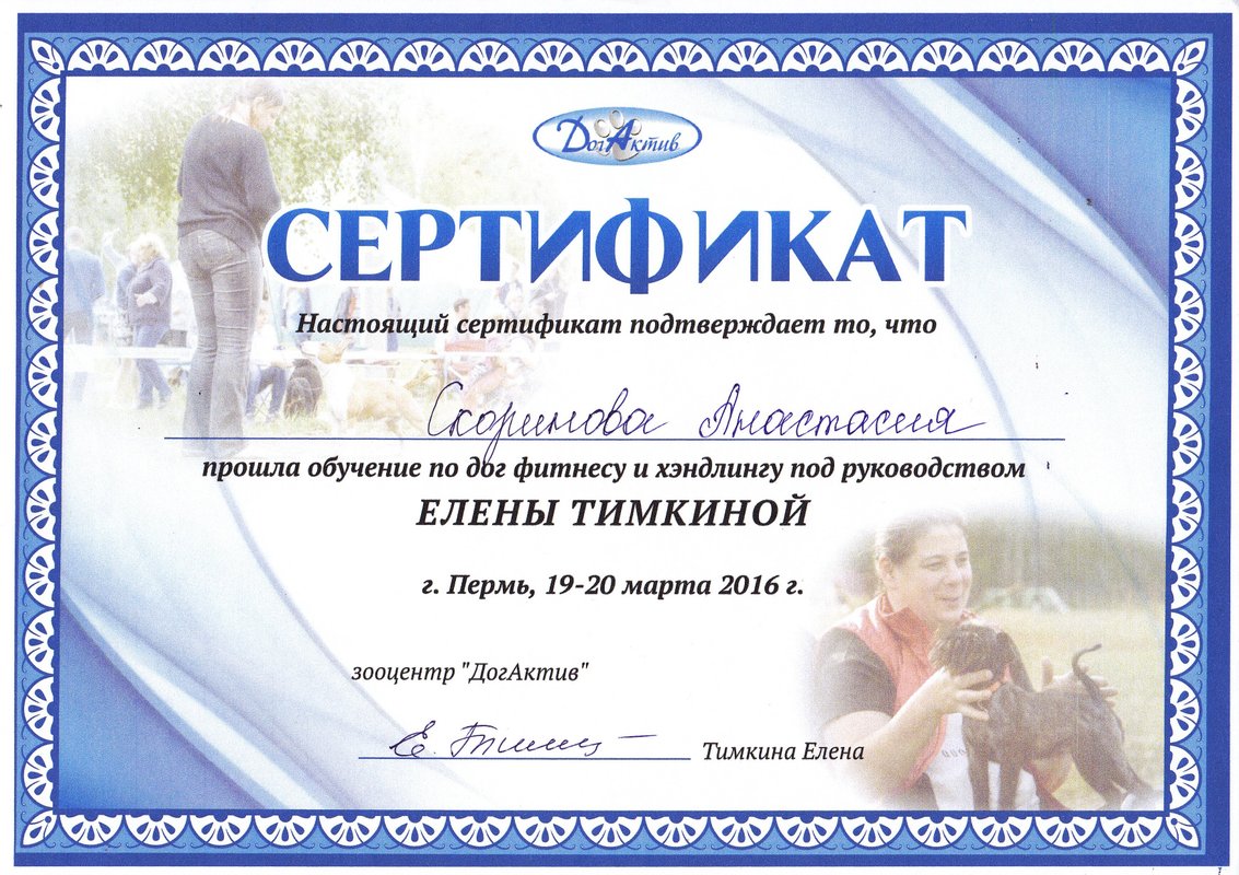 Документ или сертификат
