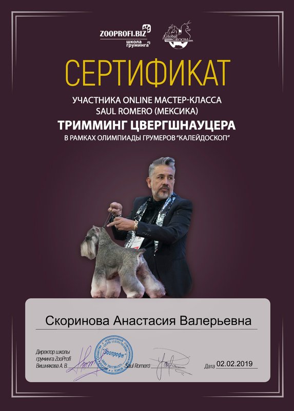 Документ или сертификат