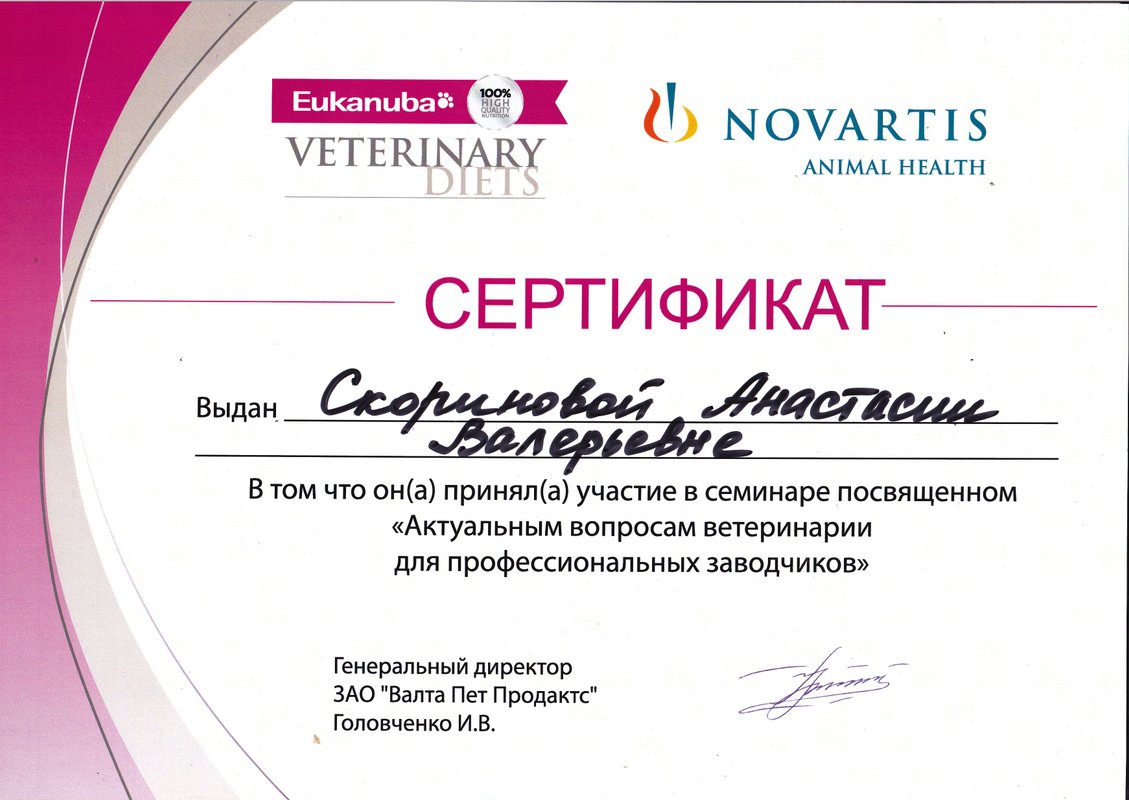 Документ или сертификат