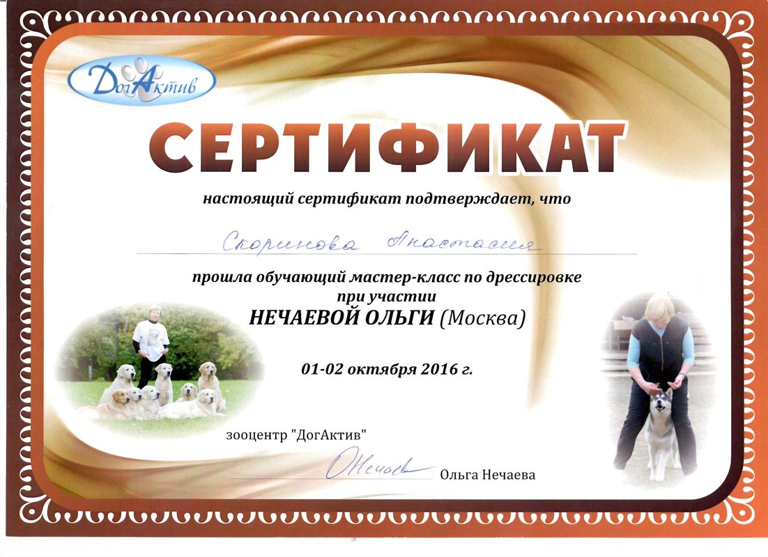 Документ или сертификат