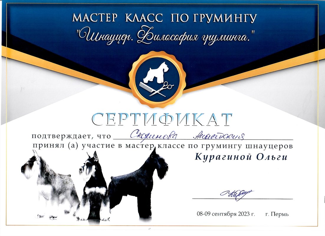 Документ или сертификат