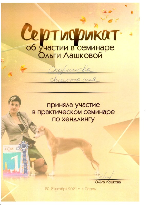 Документ или сертификат