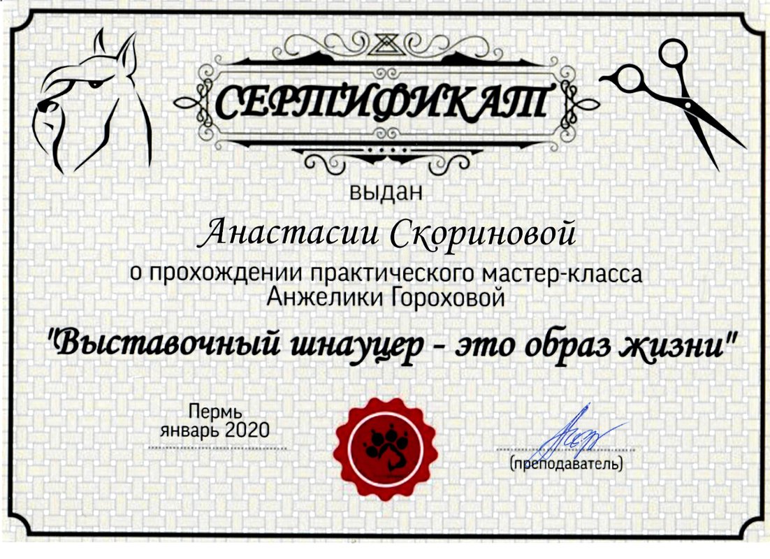Документ или сертификат