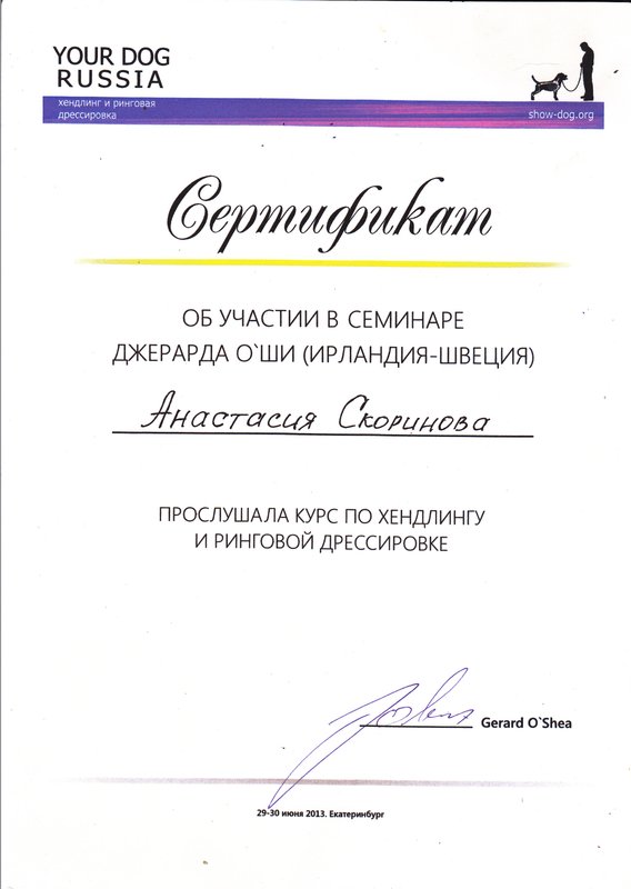 Документ или сертификат