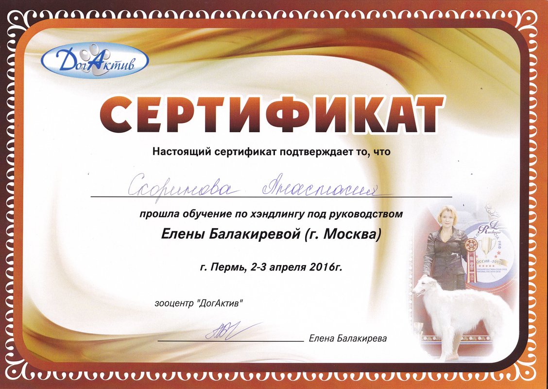 Документ или сертификат