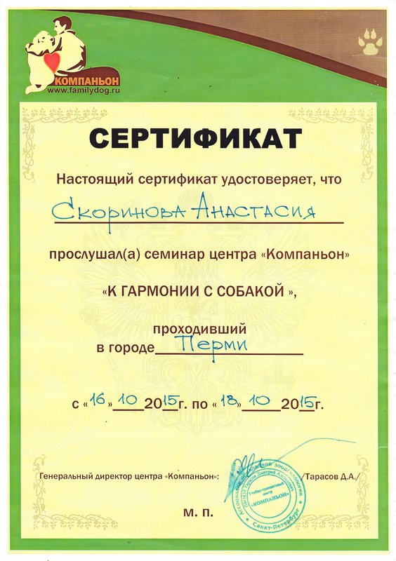 Документ или сертификат