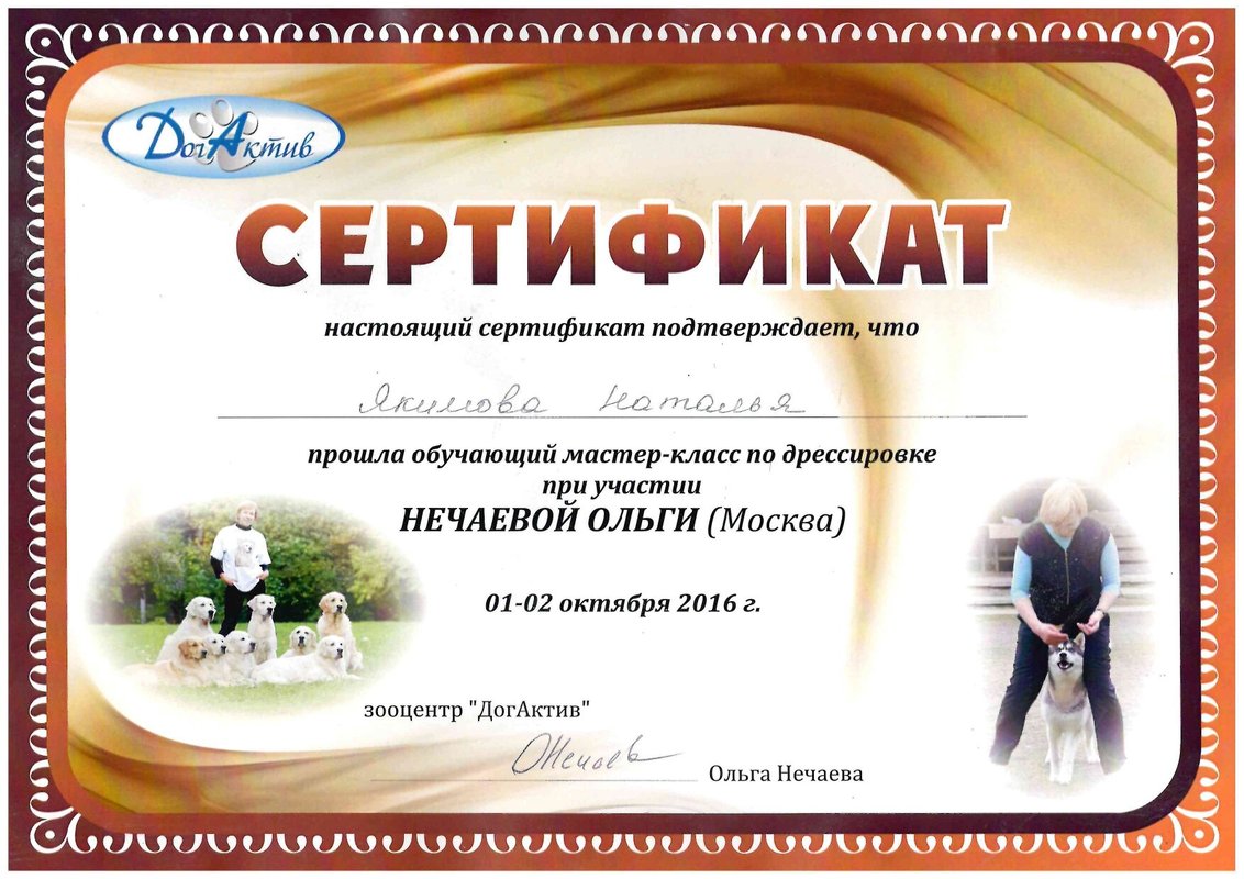 Документ или сертификат