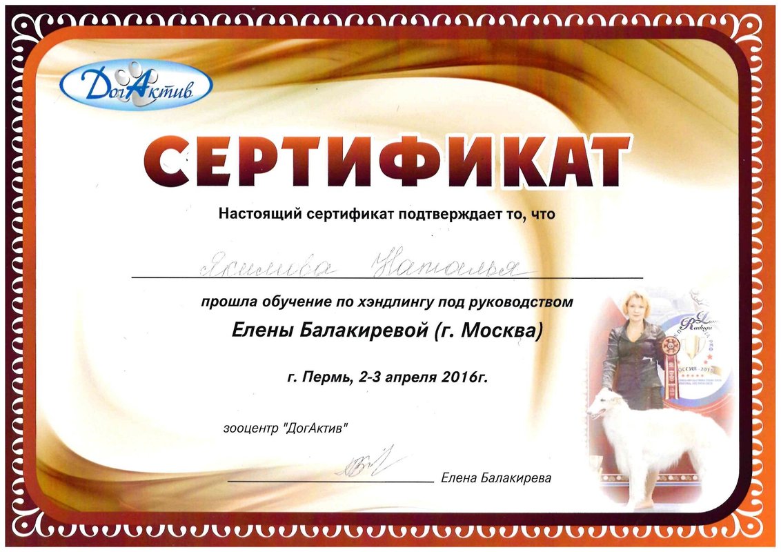 Документ или сертификат