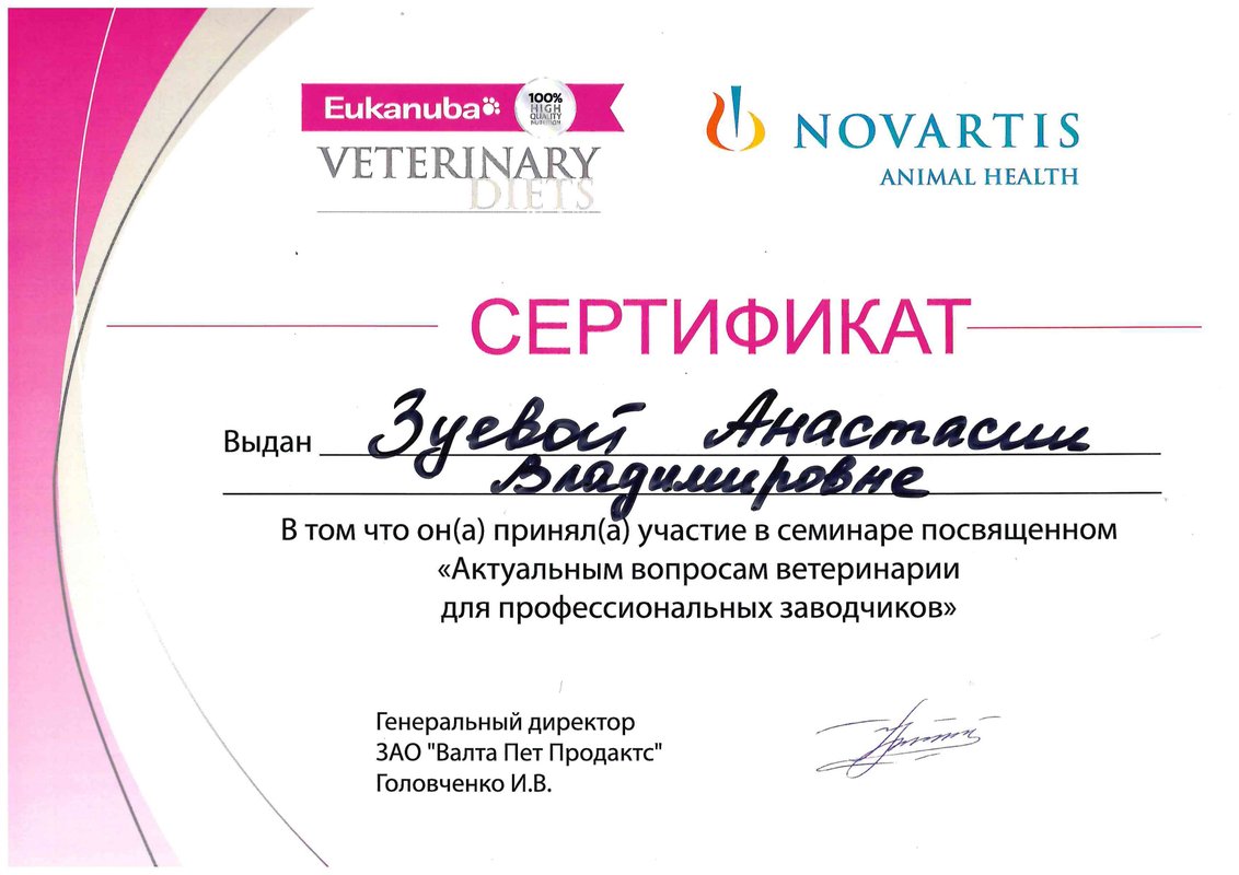 Документ или сертификат