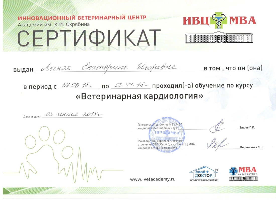 Документ или сертификат
