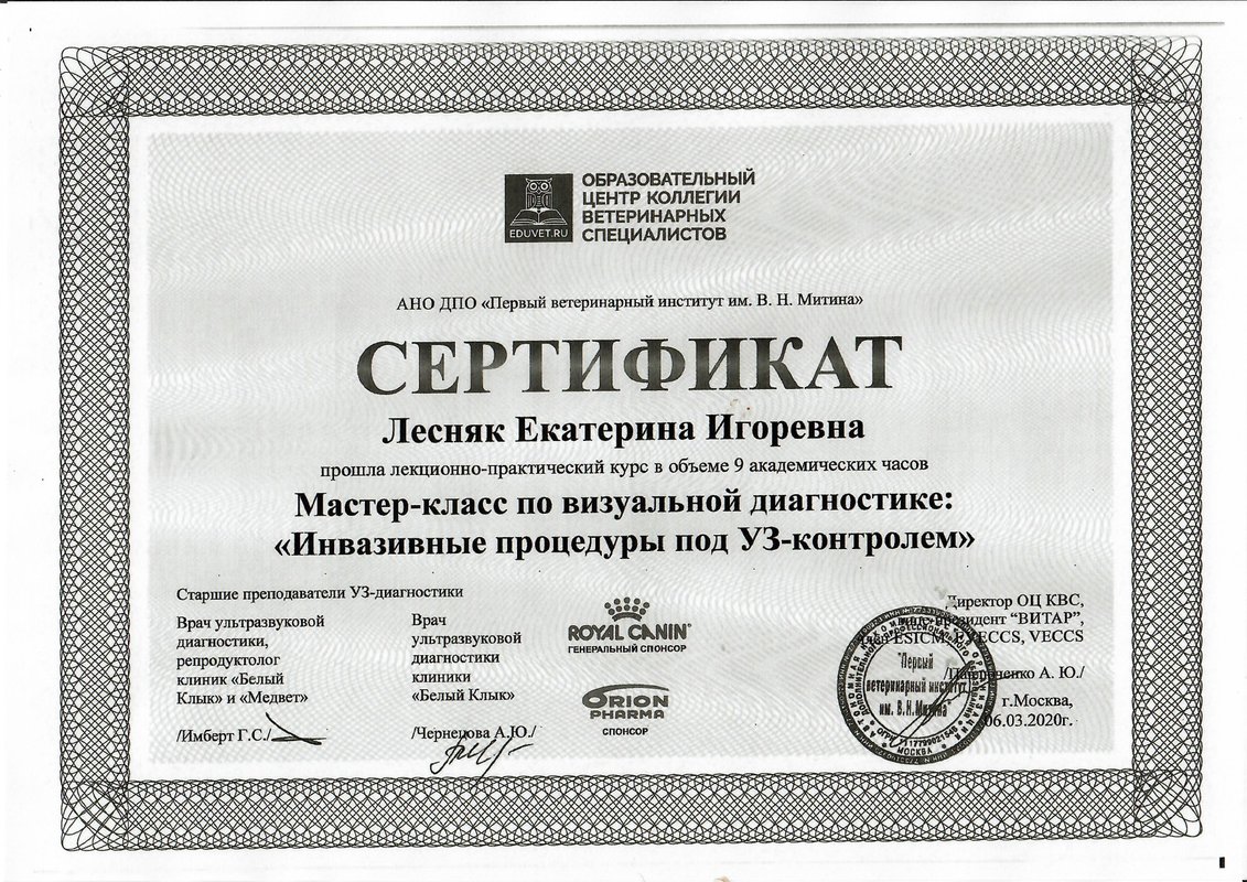 Документ или сертификат