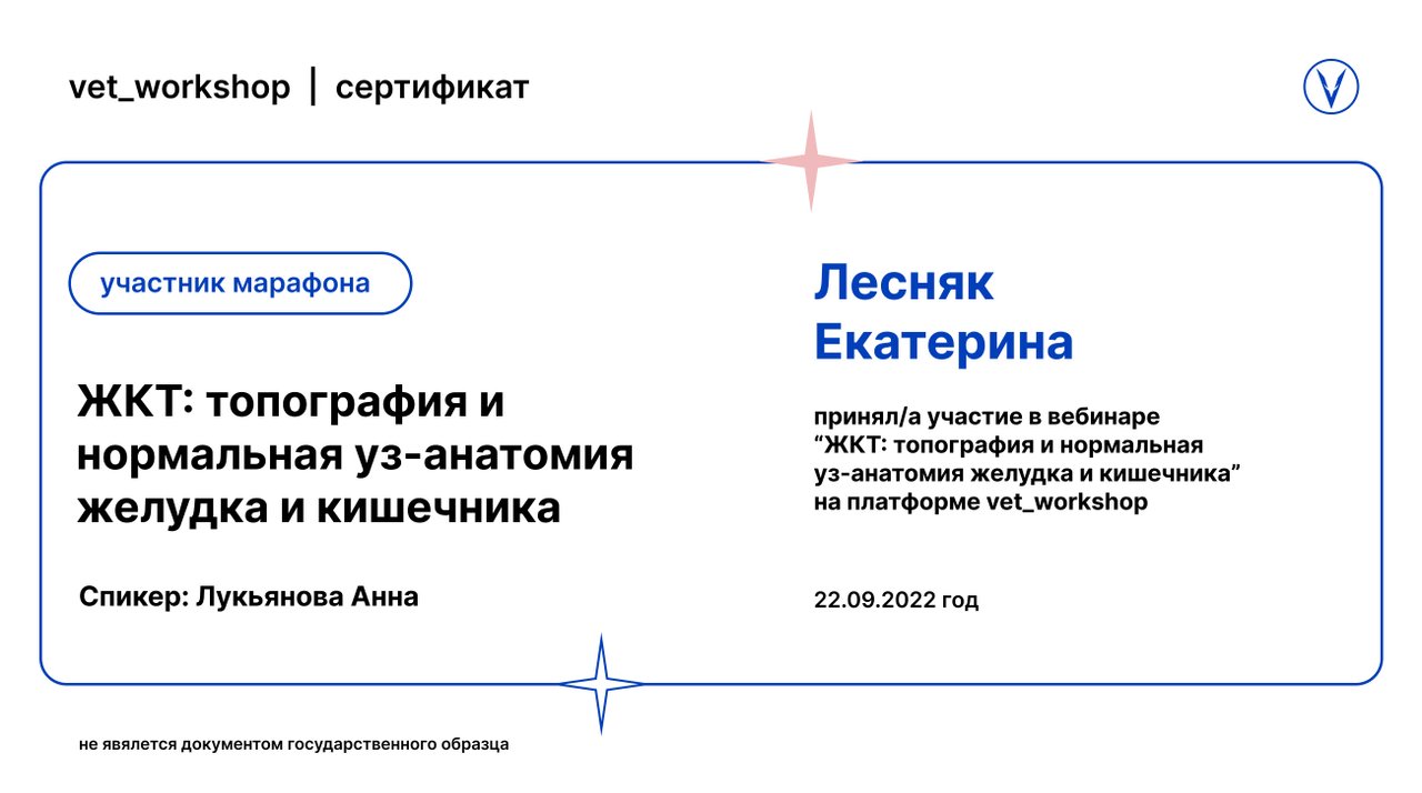 Документ или сертификат