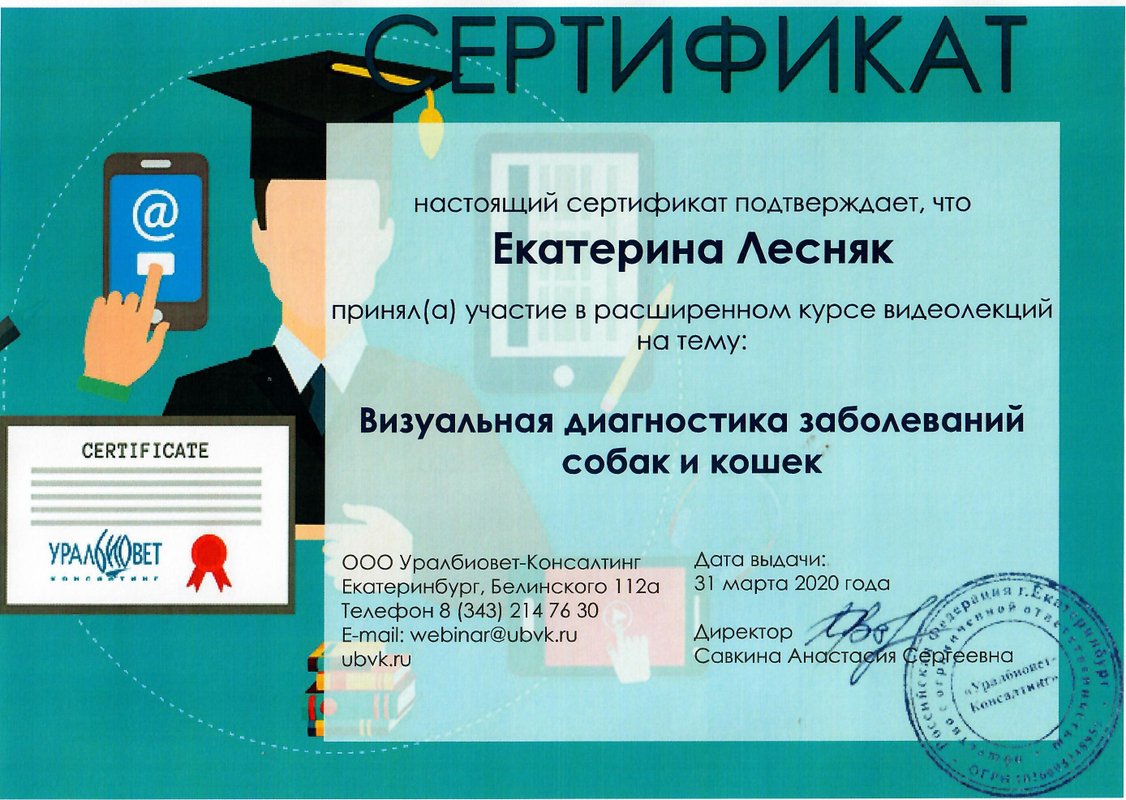 Документ или сертификат