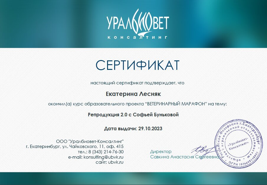 Документ или сертификат