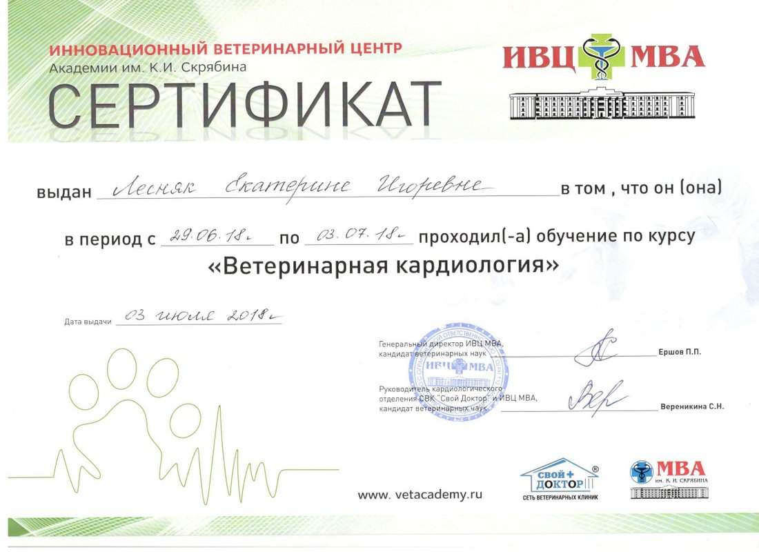 Документ или сертификат