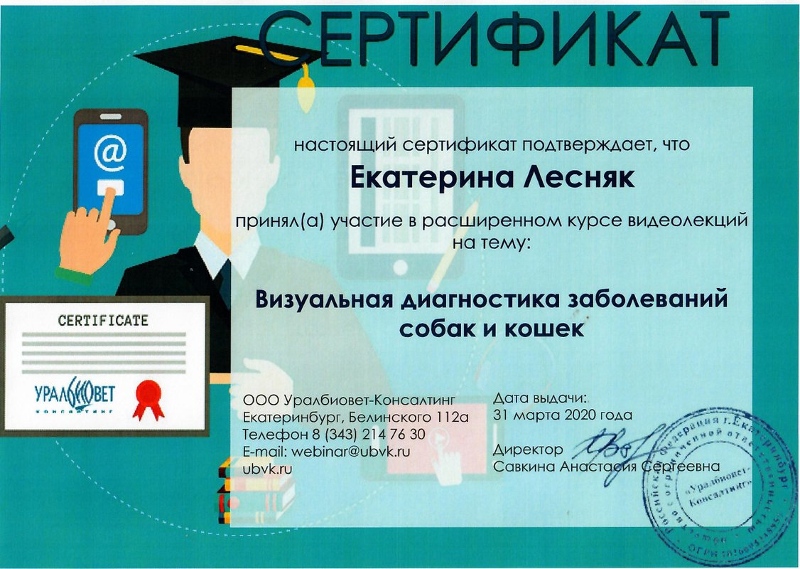 Документ или сертификат