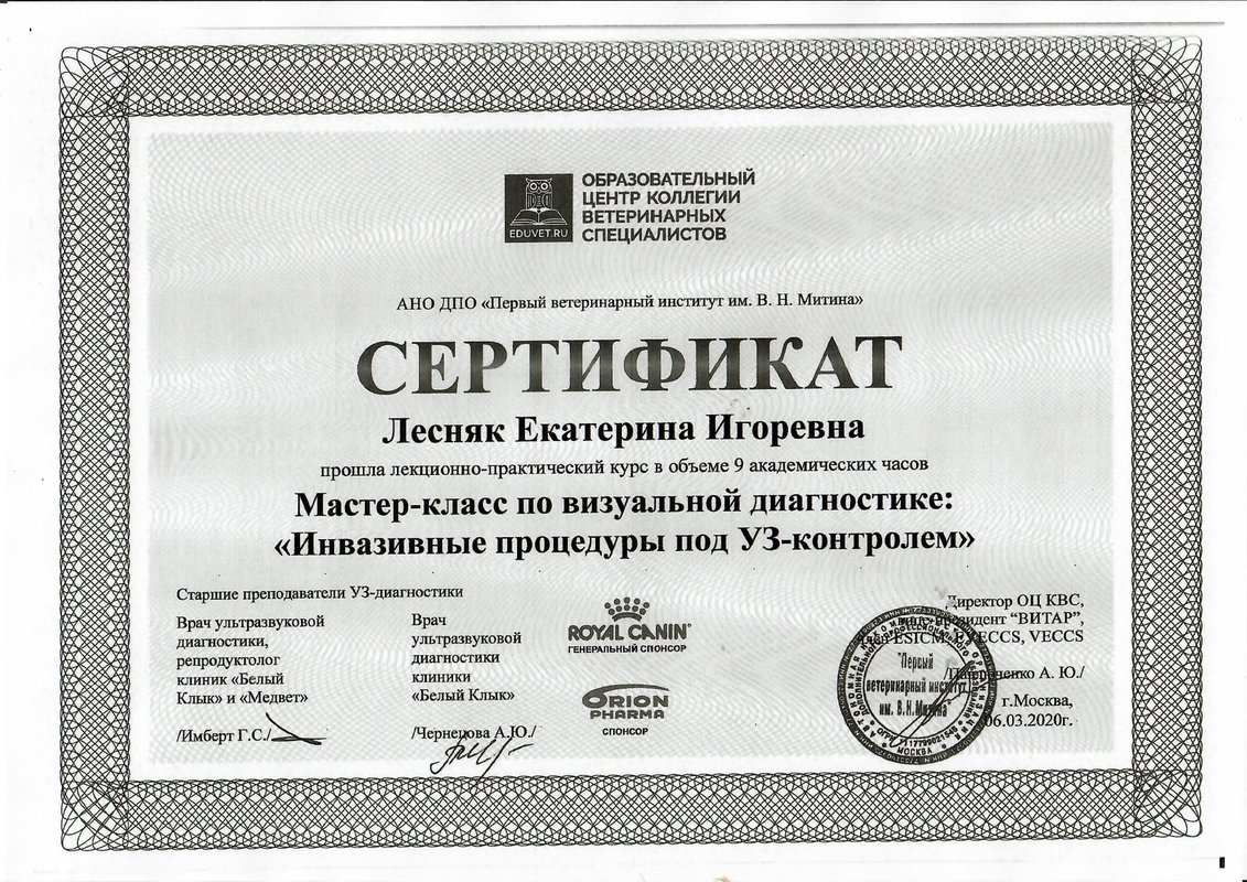 Документ или сертификат