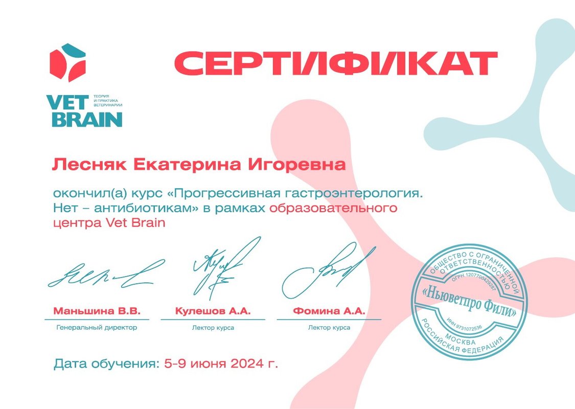 Документ или сертификат