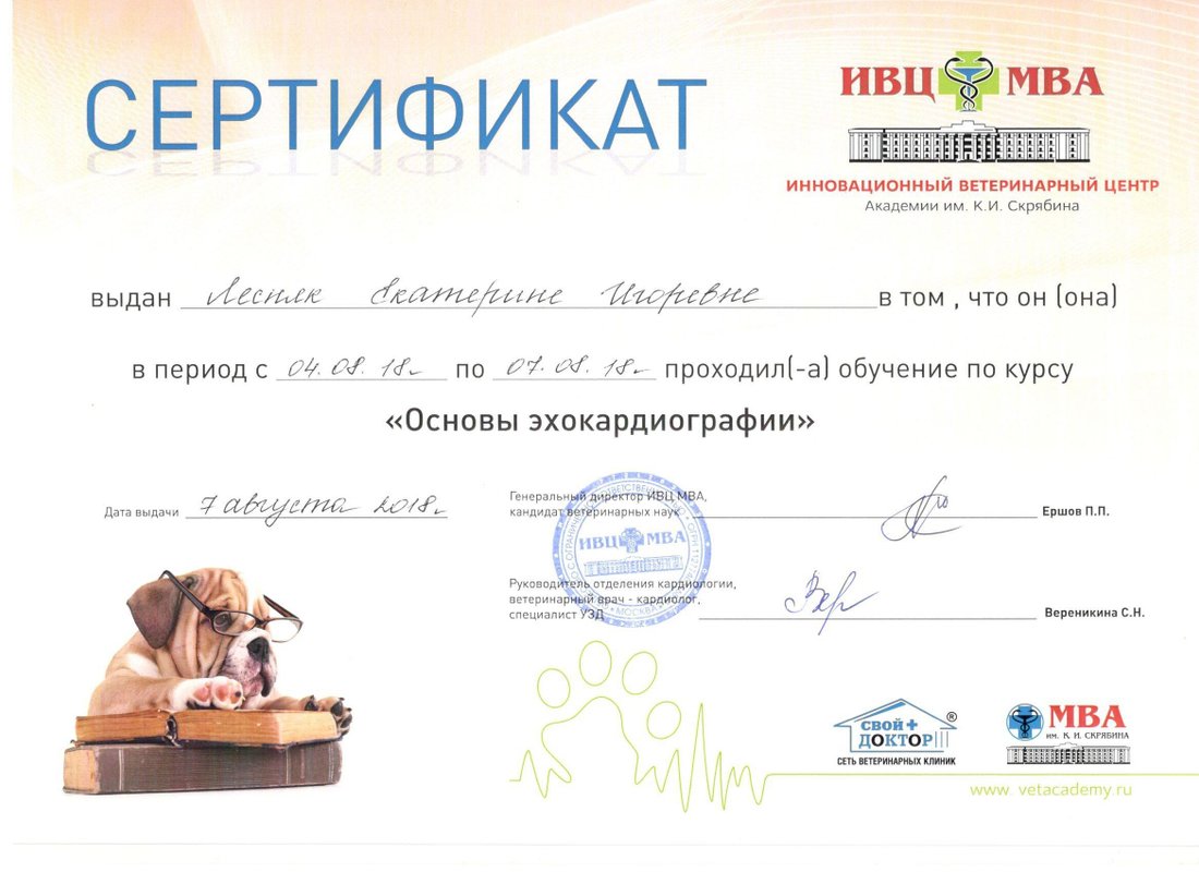 Документ или сертификат
