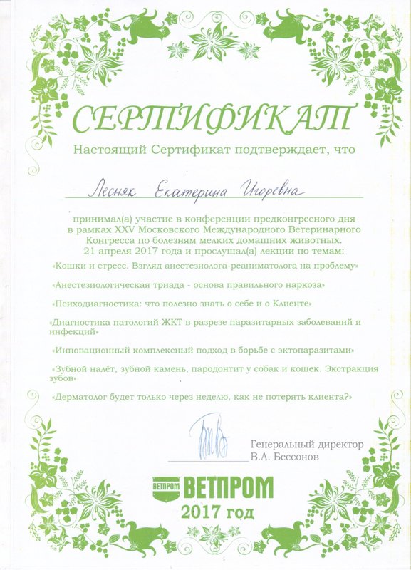 Документ или сертификат