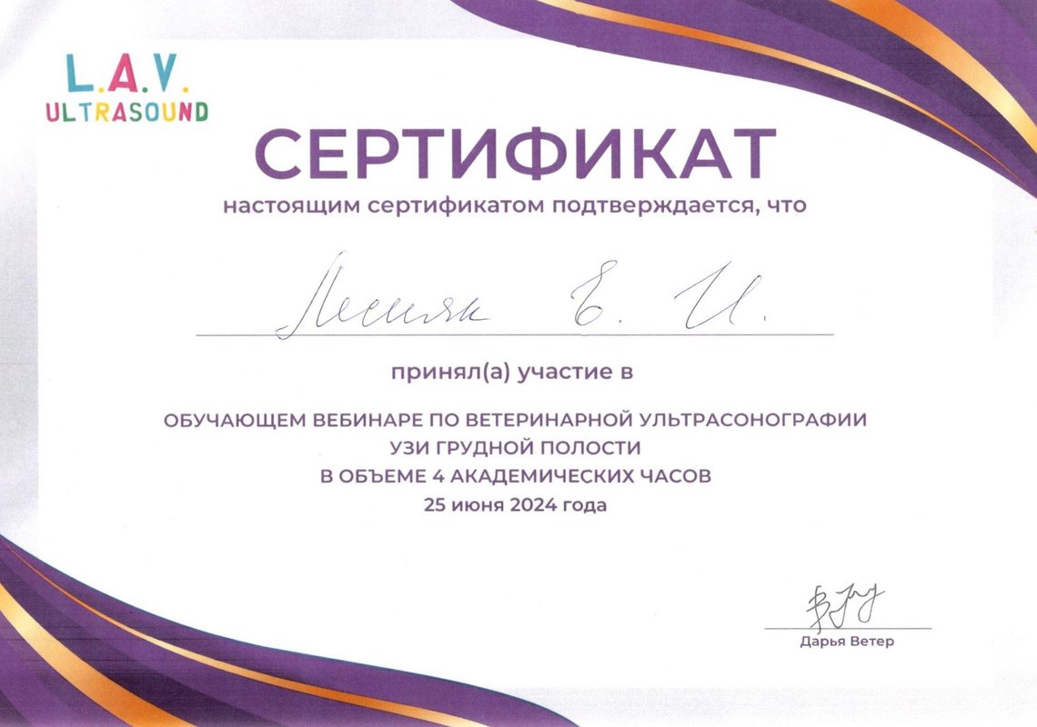 Документ или сертификат