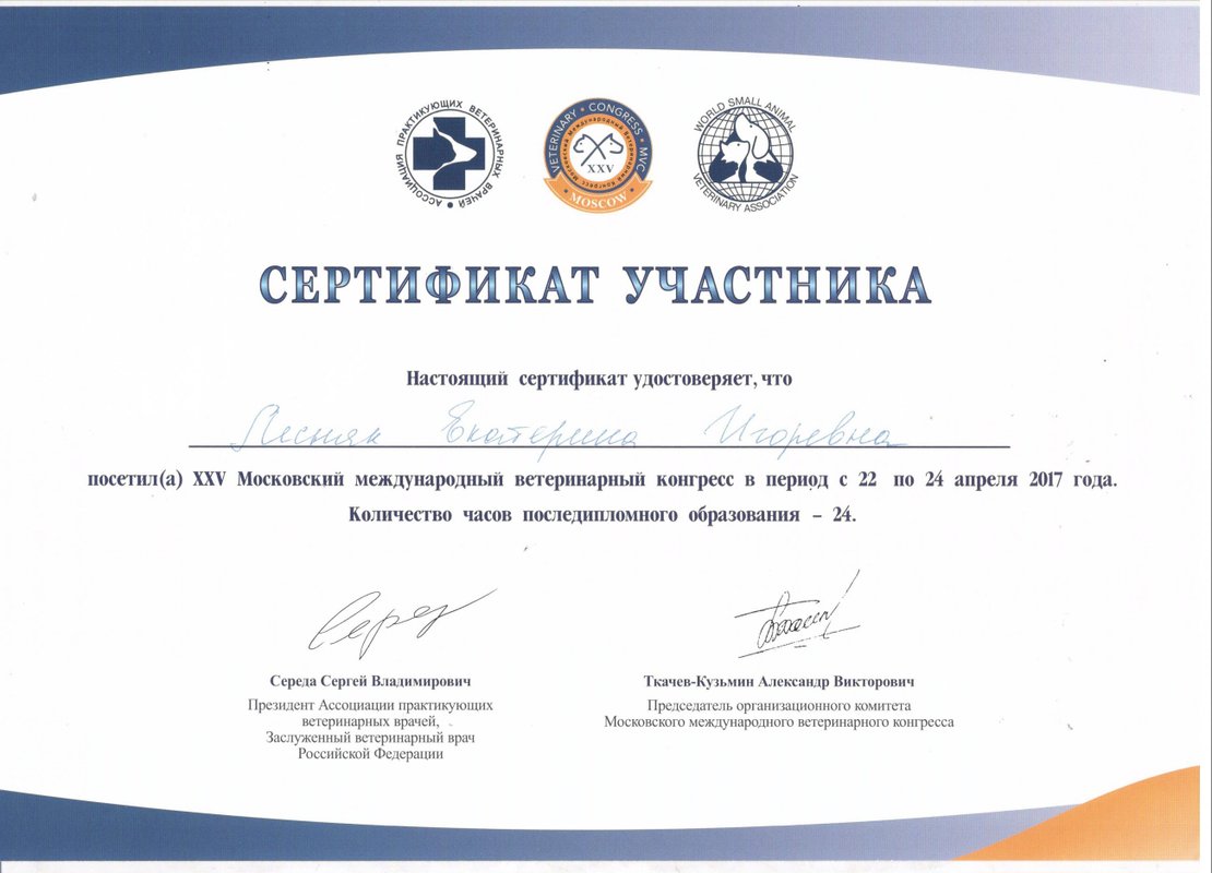 Документ или сертификат