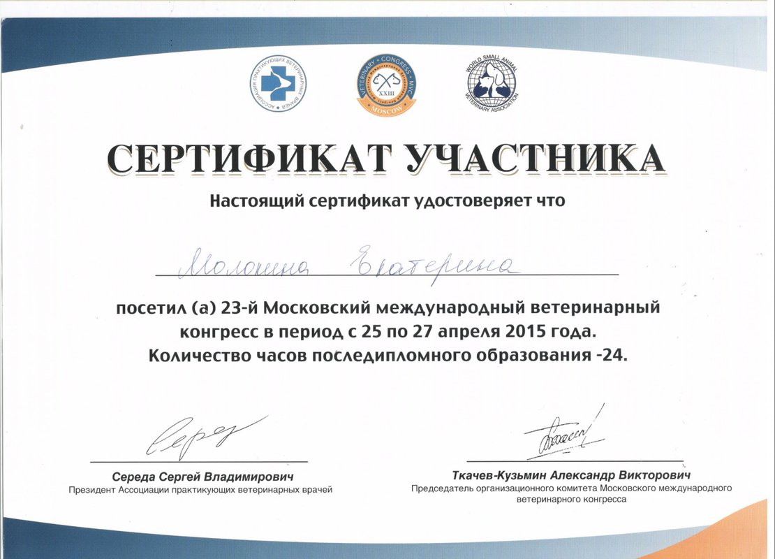 Документ или сертификат