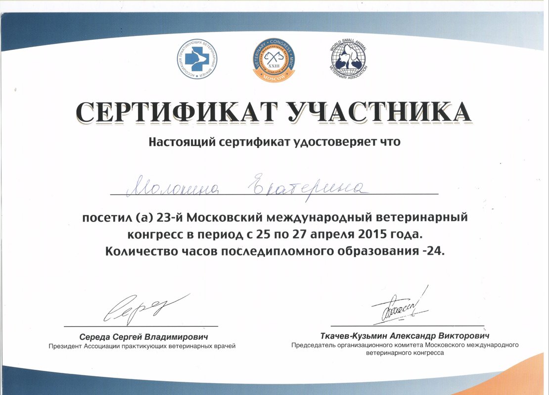 Документ или сертификат