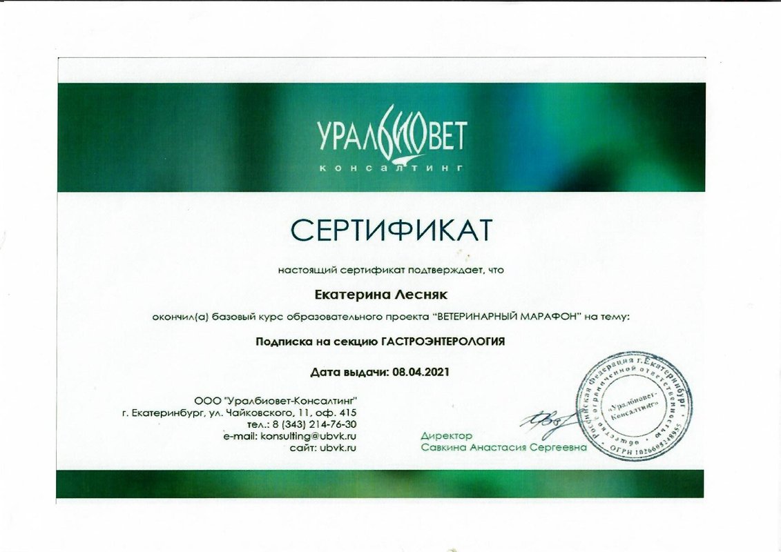 Документ или сертификат