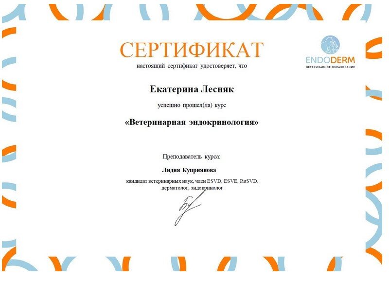 Документ или сертификат